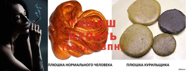 дмт Дмитров