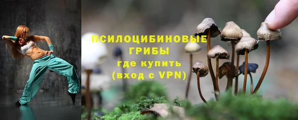 гидра Усинск