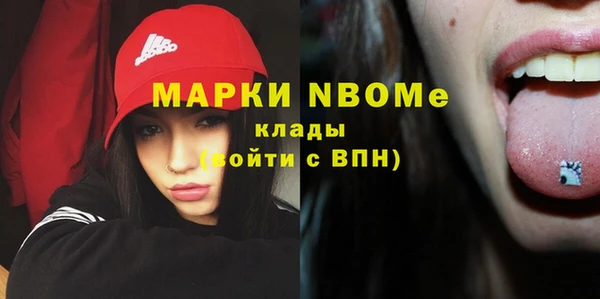 spice Гусев