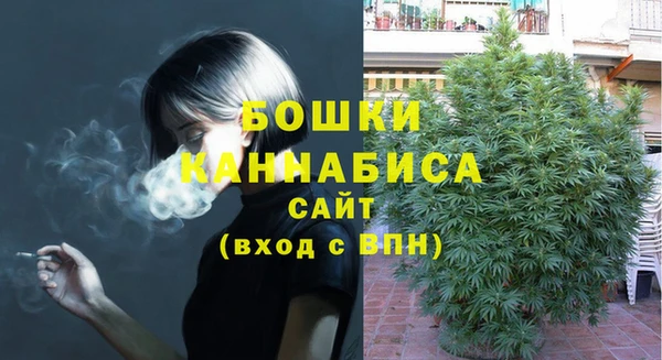 дмт Дмитров