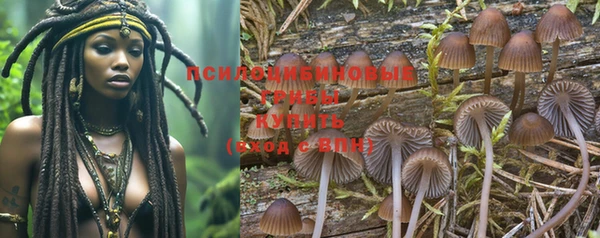 прущие крисы Гусиноозёрск