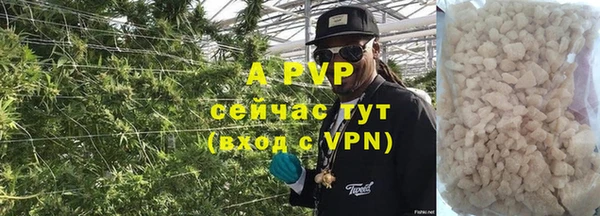 PSILOCYBIN Хадыженск