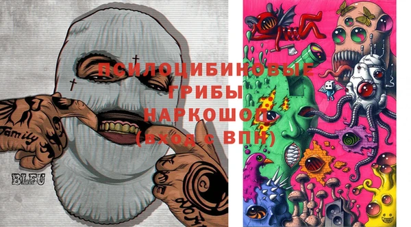 меф Дмитриев