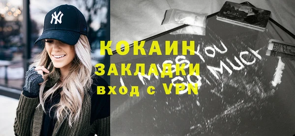 дмт Дмитров