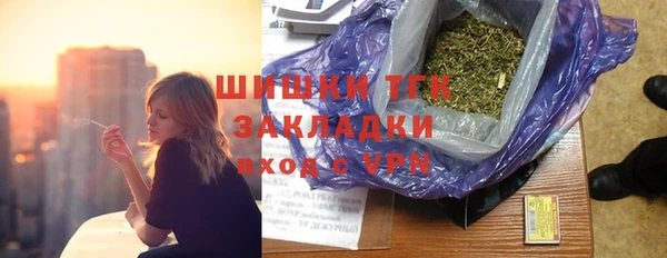 spice Гусев