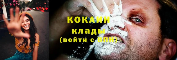 PSILOCYBIN Хадыженск