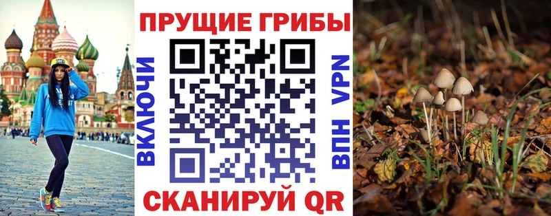 Псилоцибиновые грибы прущие грибы  Купить  Пустошка 